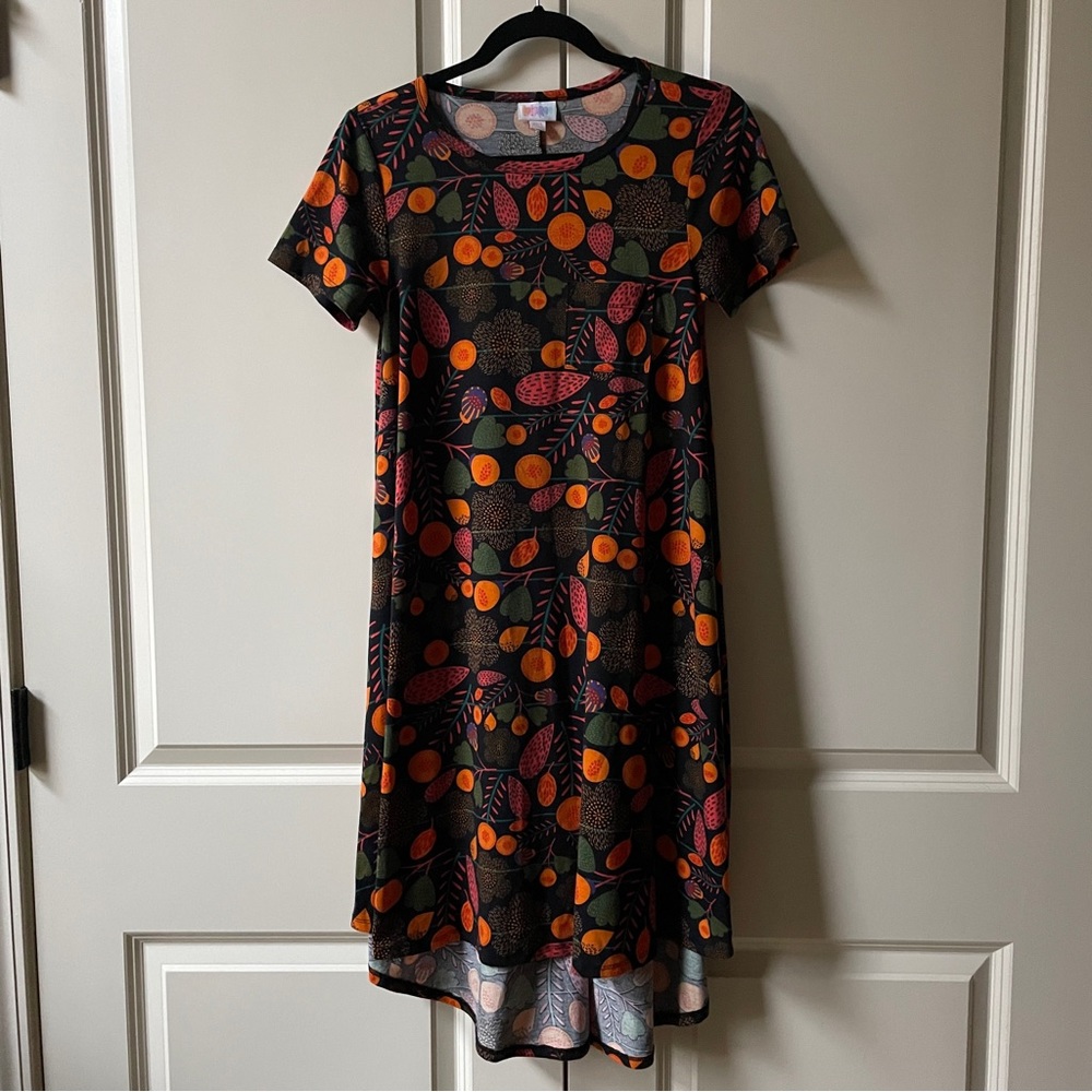 Lularoe Carly Dress - Picture 1 of 6